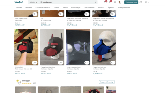 vinted_capture2