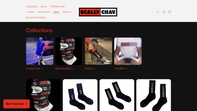 scallychav_capture